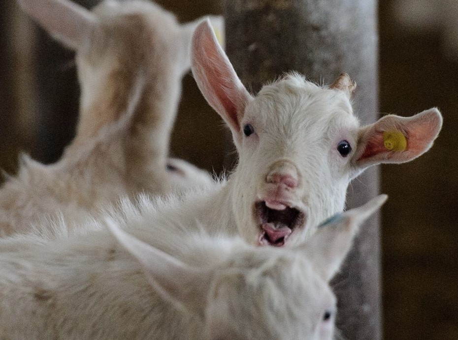    Автор фото: ТАСС