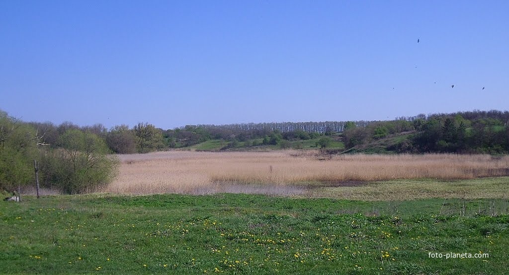 Пойма реки Сухой Ташлык, протекающей через д.Глодосы. Автор: Igor Glebov Ист. https://foto-planeta.com/photo/1102306.html