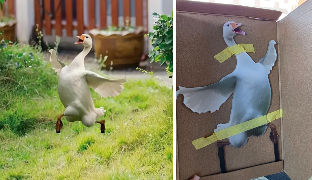 Ожидание vs. Реальность: Когда мозг дорисовывает гуся в 3D