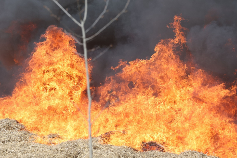    Сергей Петров/NEWS.ru