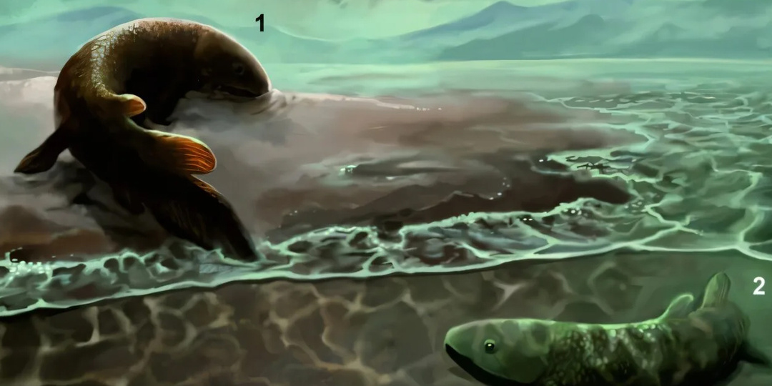 Когда рыба осмелилась ступить на сушу