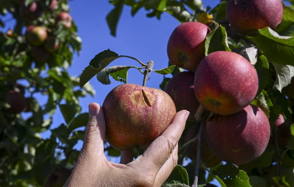    Фото: Jens Kalaene/dpa/Globallookpress