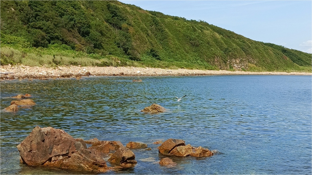 что нужно чтобы писать статьи  в Дзен