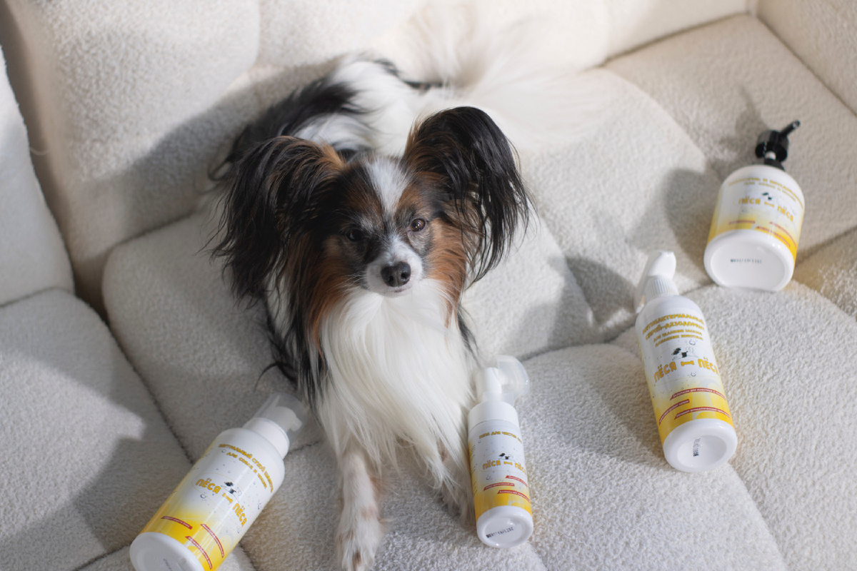 Питомец, ради которого создался бренд  💛