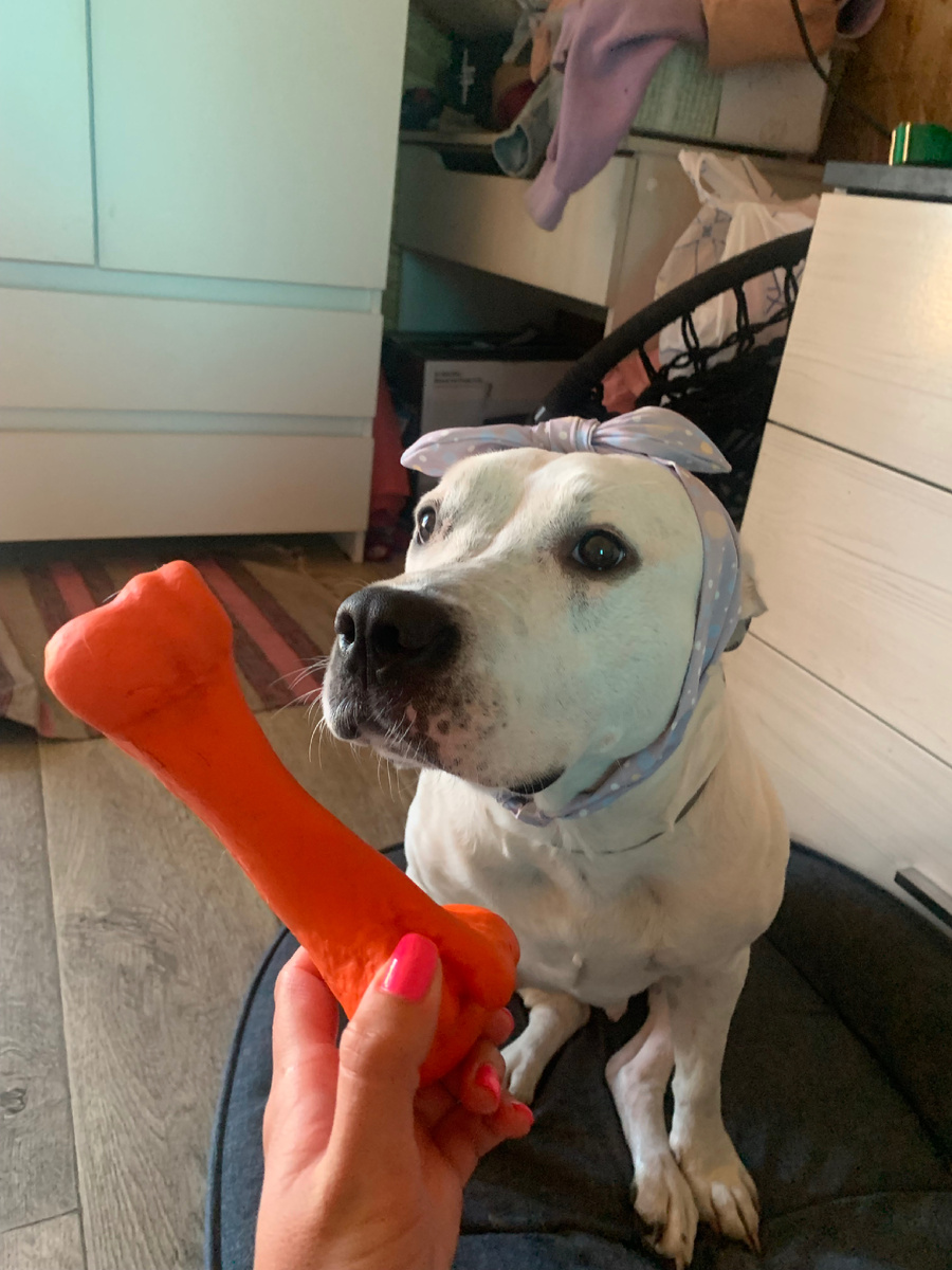 Та самая Милка🤗