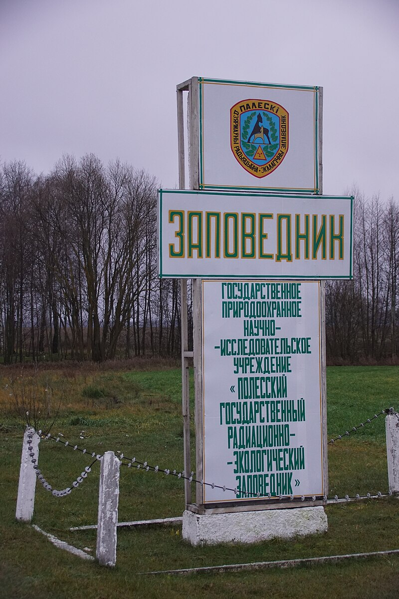 Вход в Саповедник возле Бабчина