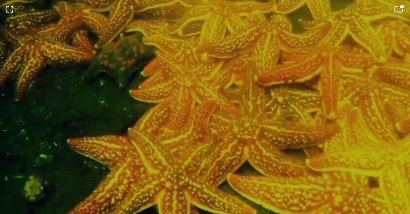    Источник фото: