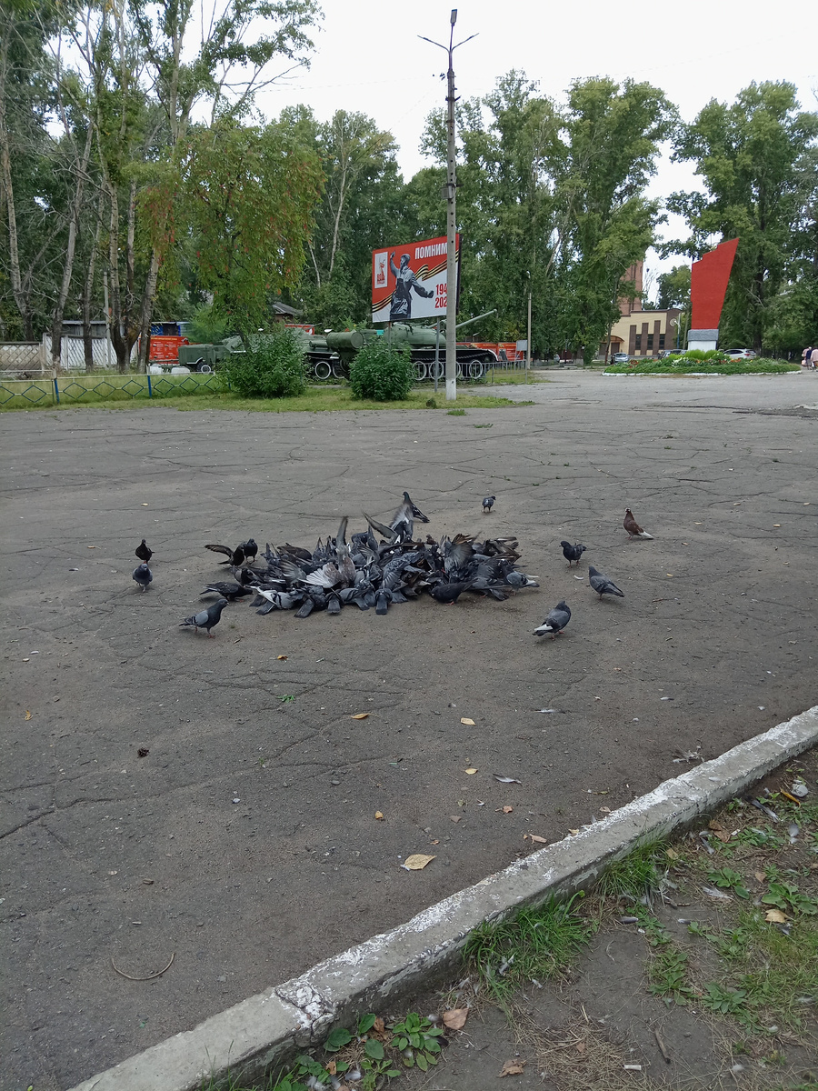 Фото автора