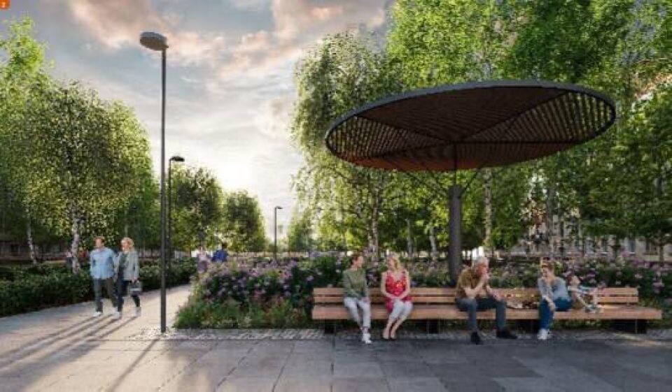    Благоустройства бульвара 50-летия ВЛКСМ в Бийске. Источник: t.me/shchigrev_bsk