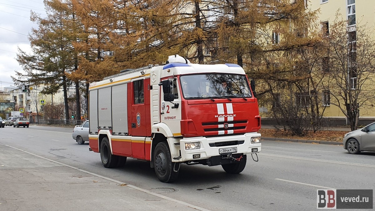     Фото: Вечерние Ведомости