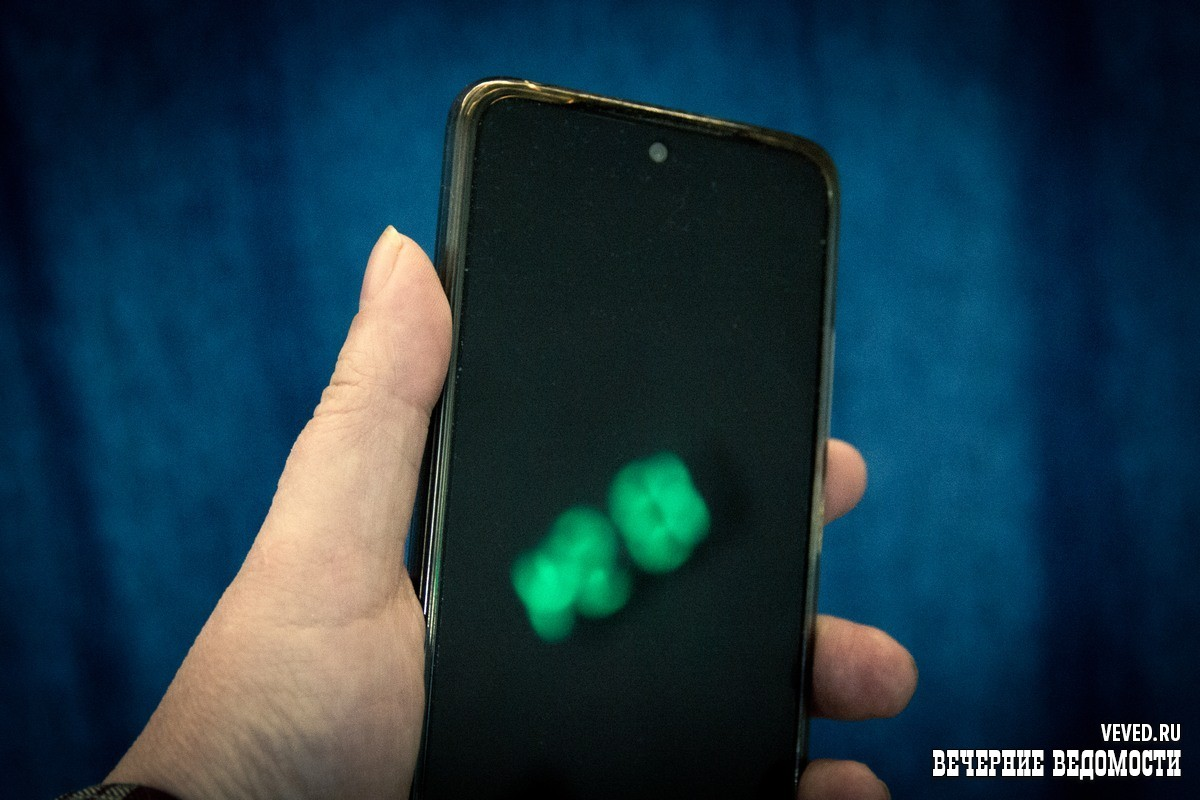     Фото: Андрей Гоголев / Вечерние ведомости