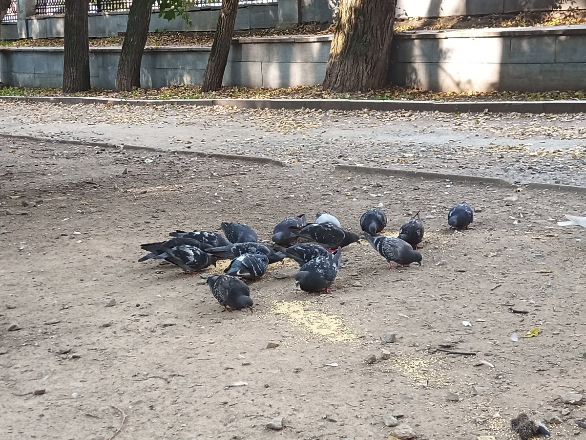 Рассказ «Обретение смысла»