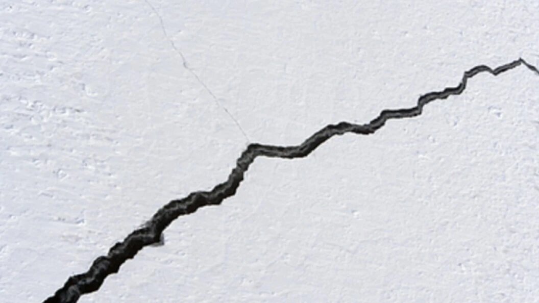    Serguei Fomine//Globallookpress