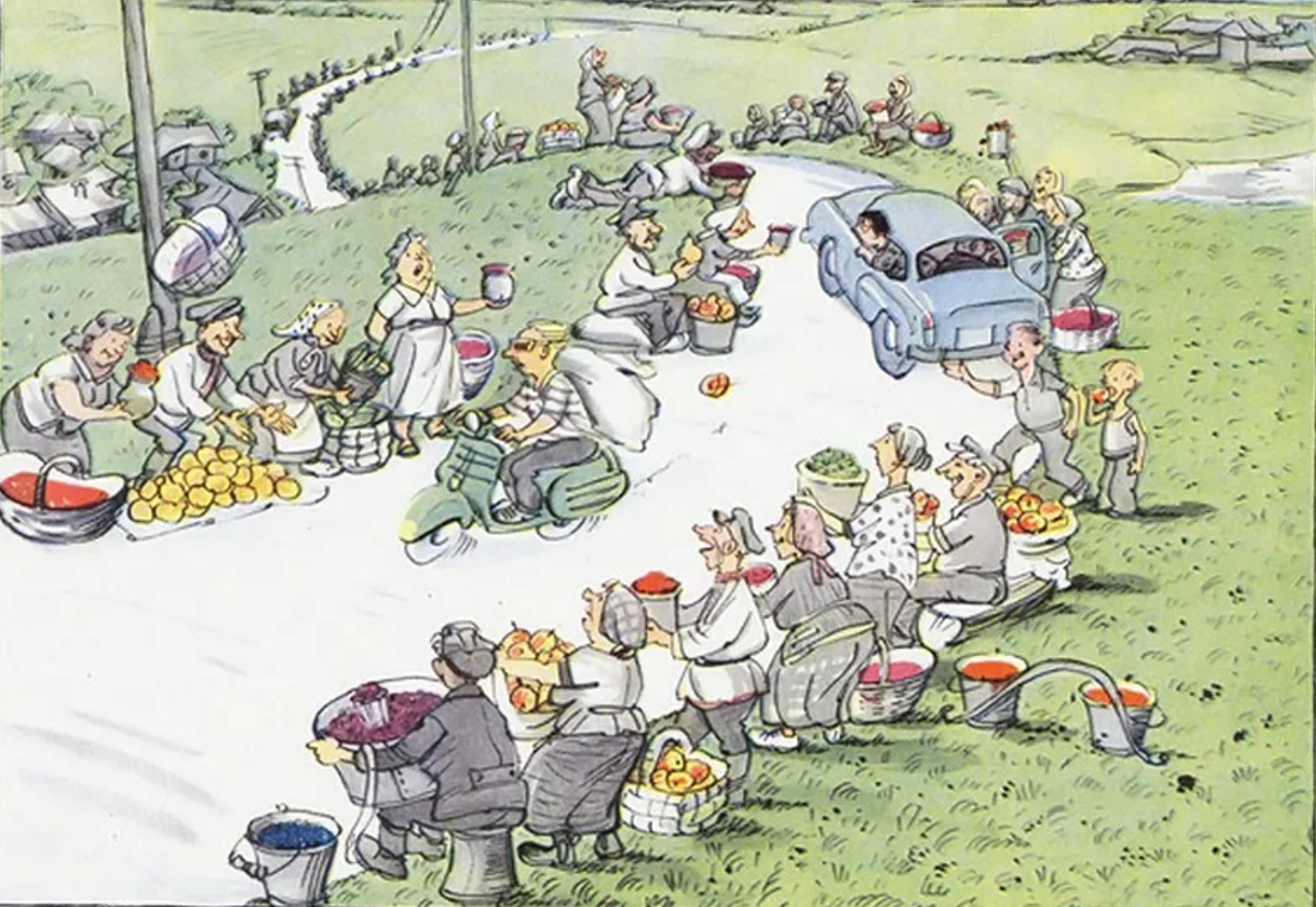 Наши дачники-подорожники