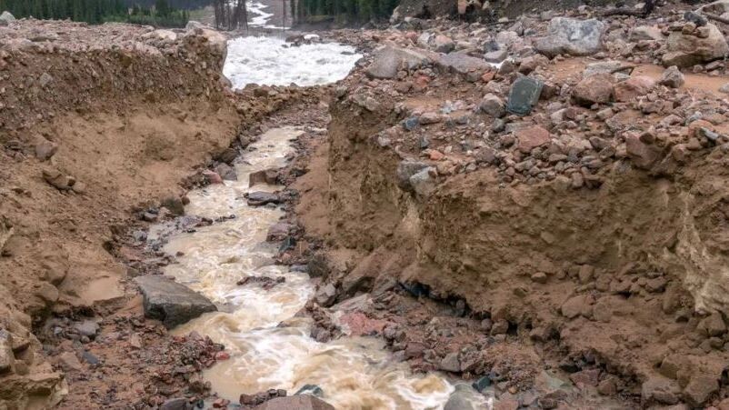    Фото: Kiwisoul/Shutterstock/Fotodom