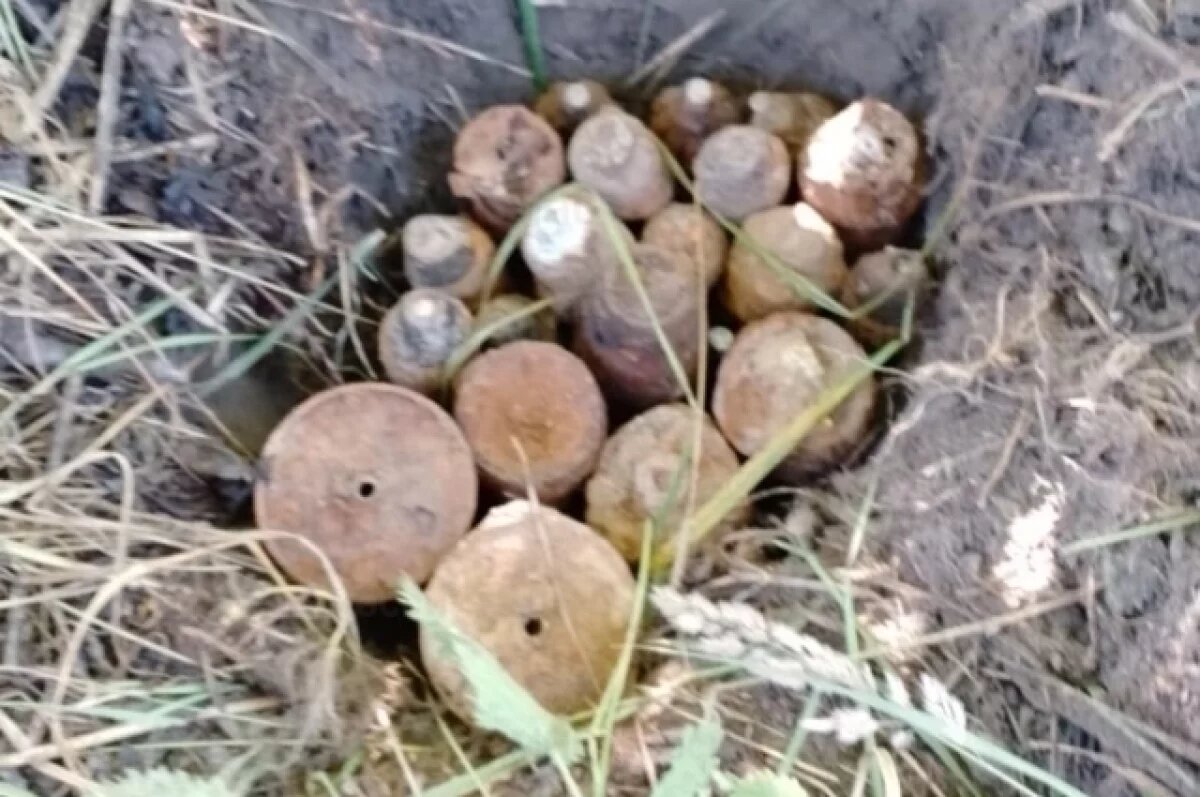    В Калужской области обнаружили склад боеприпасов времен Второй мировой