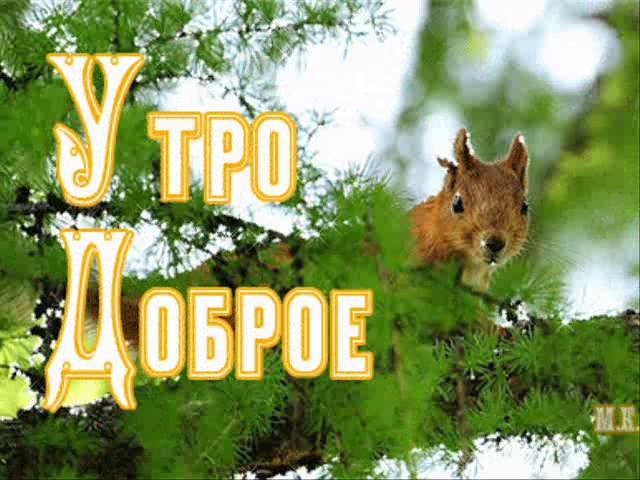 Фото Яндекса.