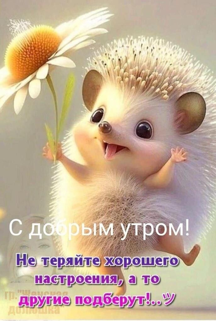 Фото Яндекса.