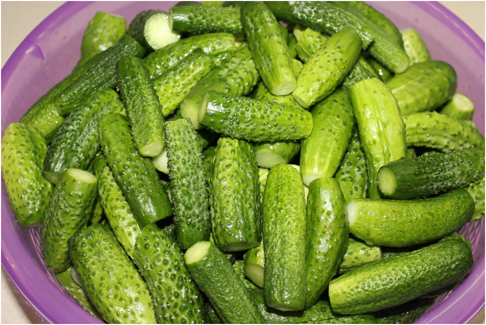 Личное фото автора.