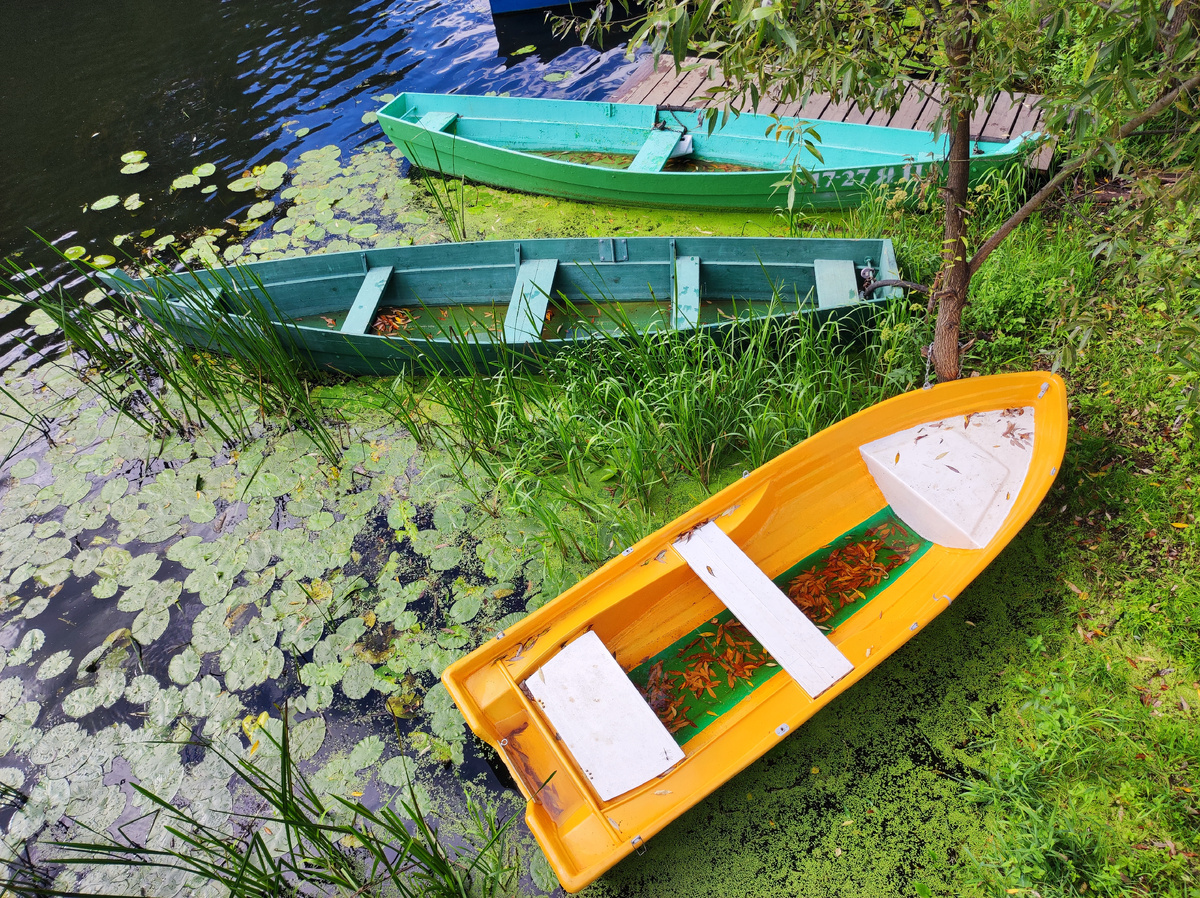 Здесь и далее все фото автора Ольги Ефимовой-Соколовой. 
