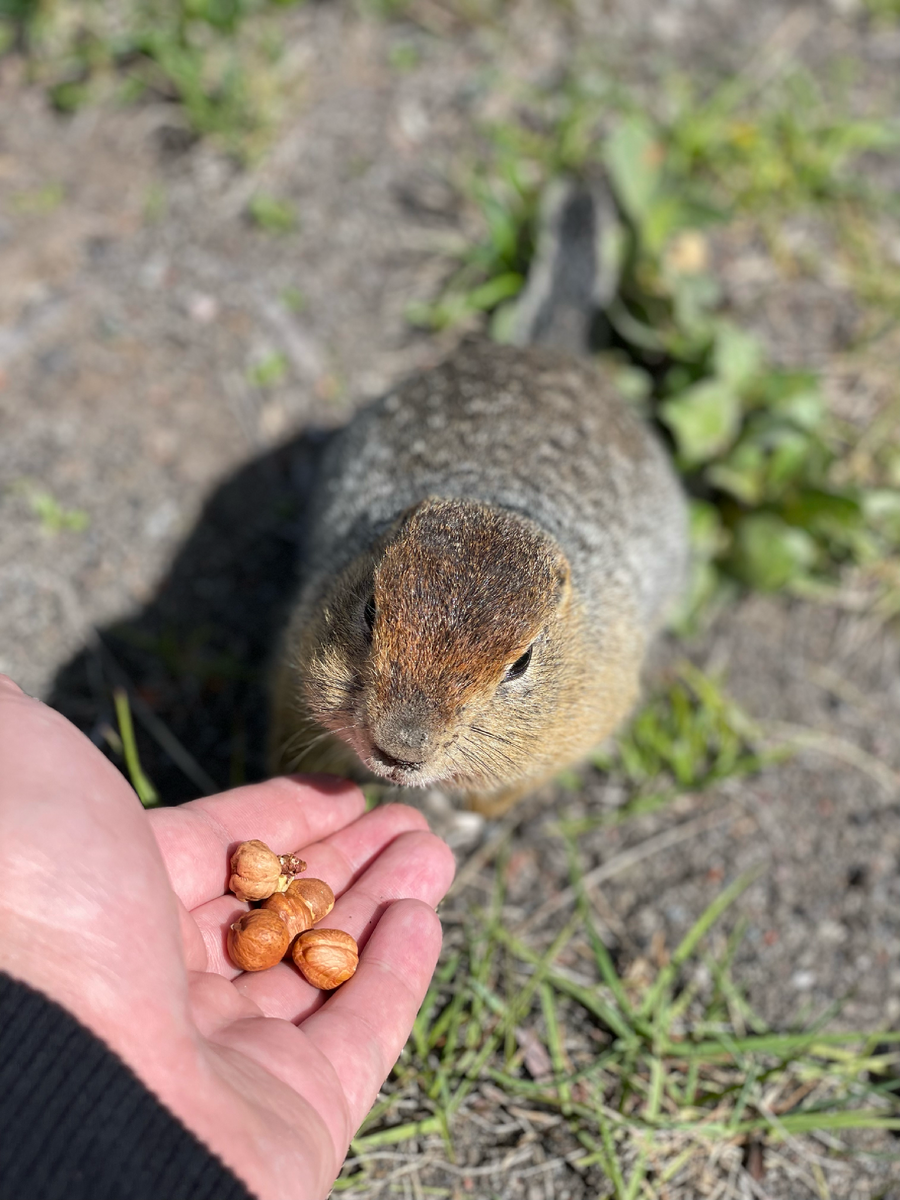    Фото: dzen.ru/Заядлый путешественник