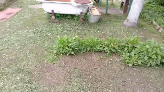 Фото автора. После покоса.