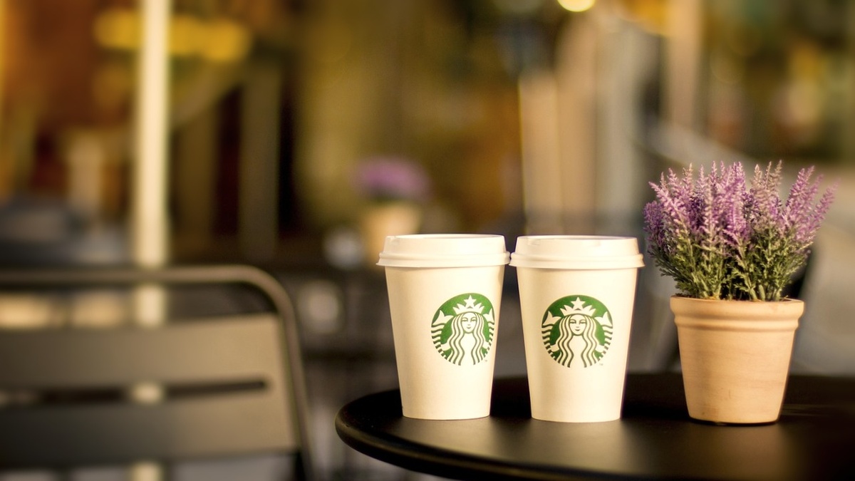 Фото из открытых источников.