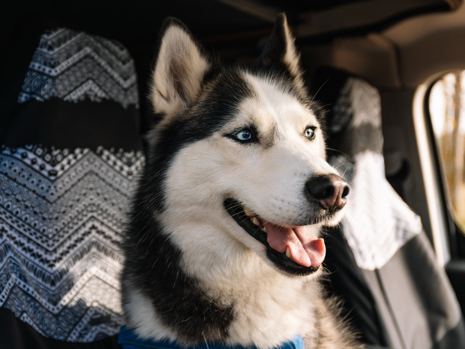    Фото: istockphoto.com