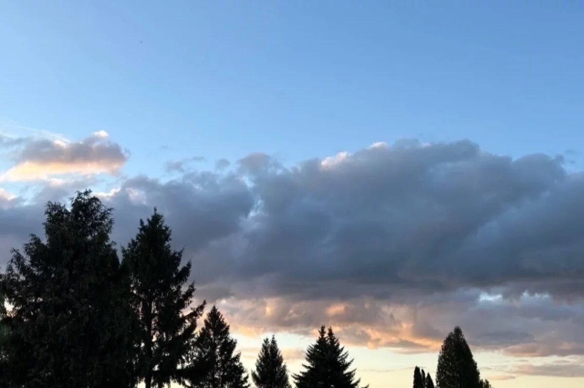    Минобороны: 7 БПЛА уничтожили над Воронежской областью ночью