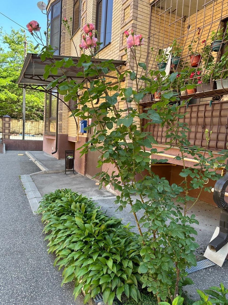 Дворы Ессентуков