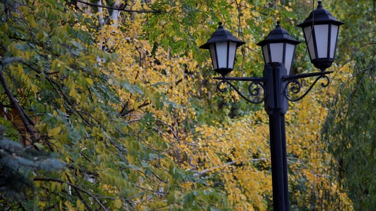     Источник: 1MI