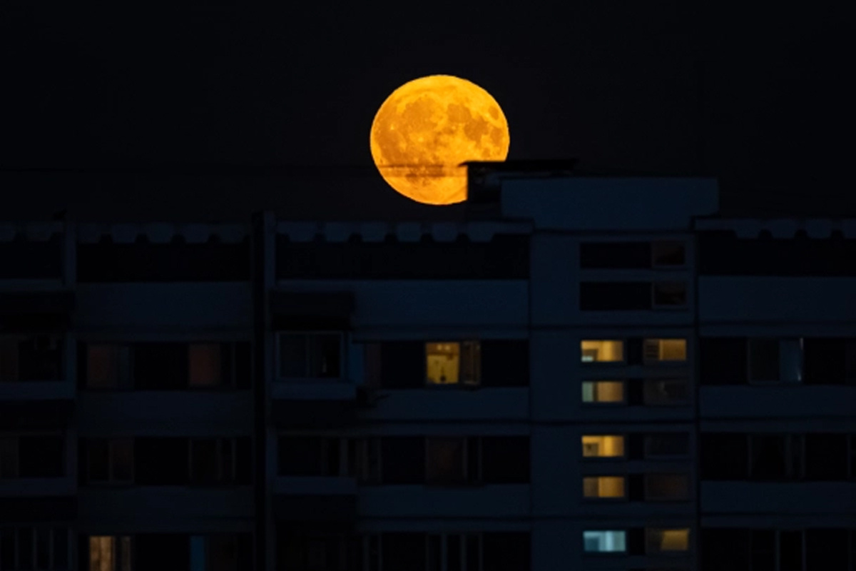    Фото: Edgar Breshchanov Источник: Global Look Press