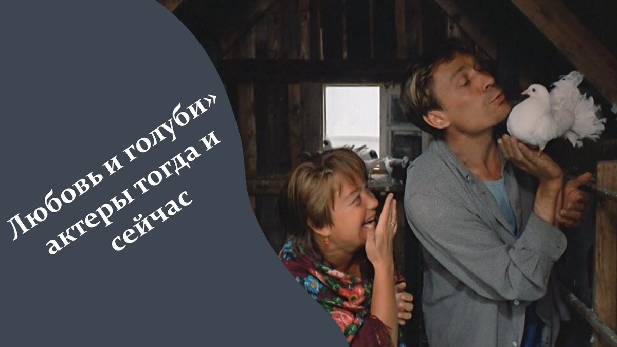 Кадр из фильма "Любовь и голуби". Яндекс картинки.