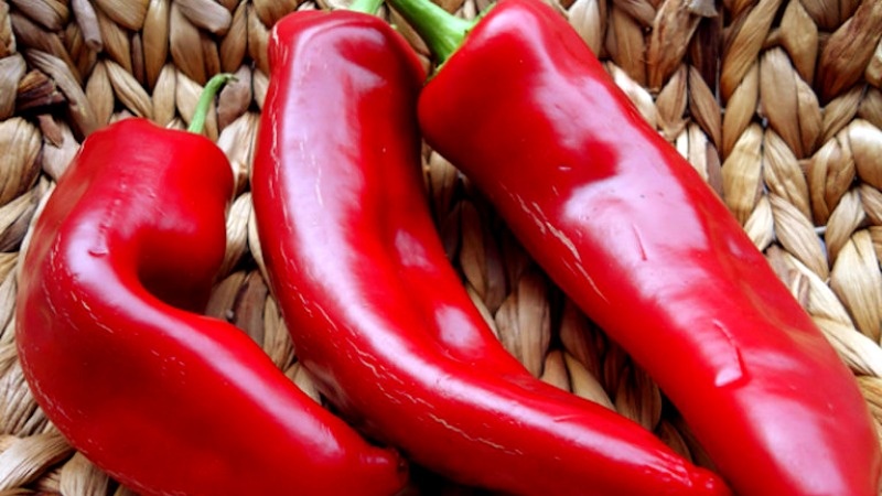 Болгарский перец