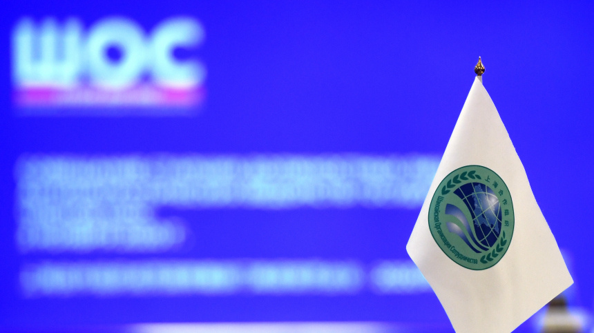    Фото: © РИА Новости/Кирилл Каллиников