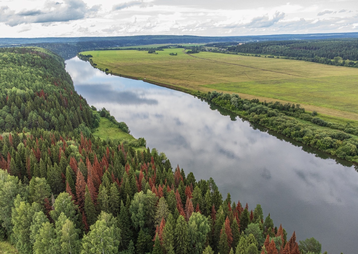    © Алексей Сметкин