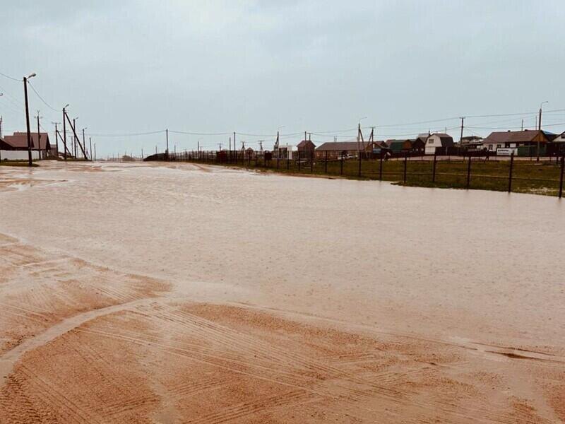 © Фото: Юрий Мясников