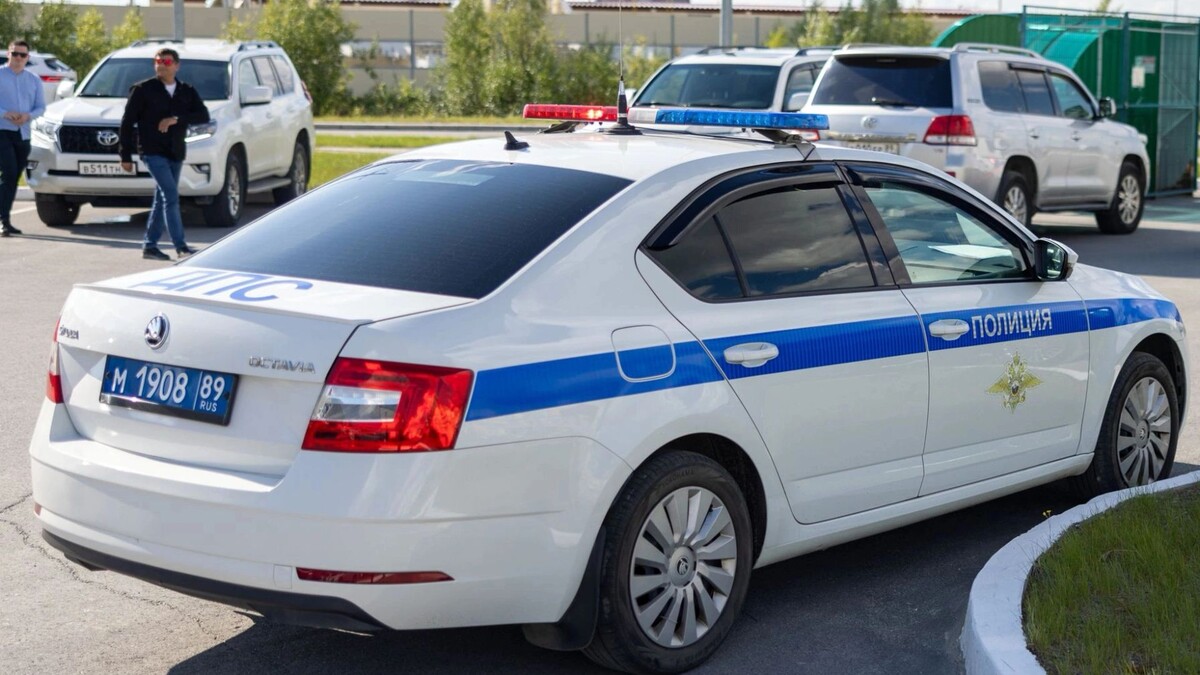    Фото: Федор Воронов/«Ямал-Медиа»