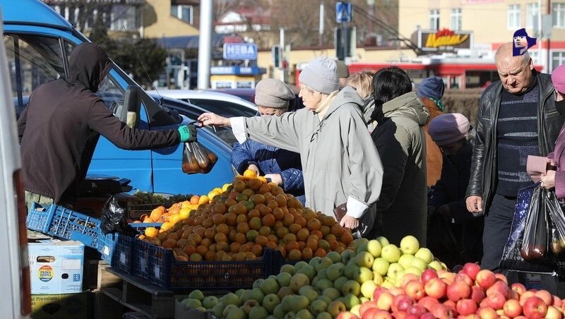      Фото: Дмитрий Ахмадуллин / / ИА «Победа26»
