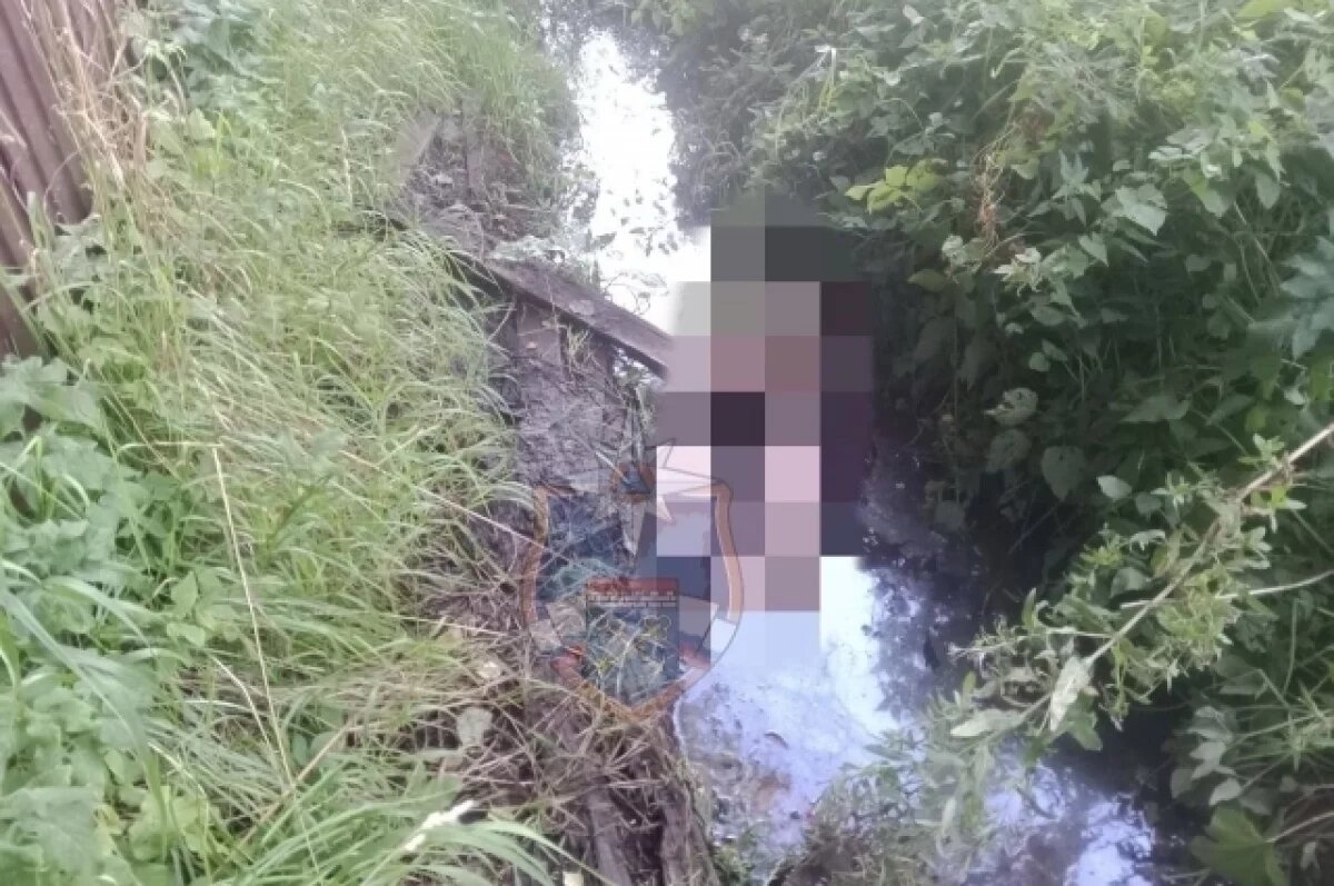    В Мурино нашли тело мужчины в канаве