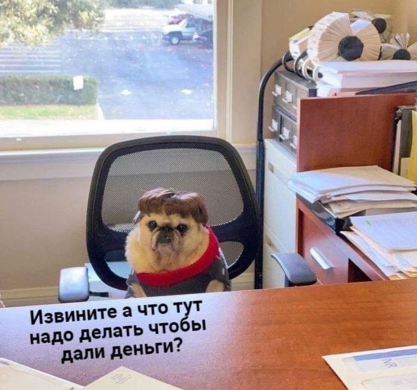 -6