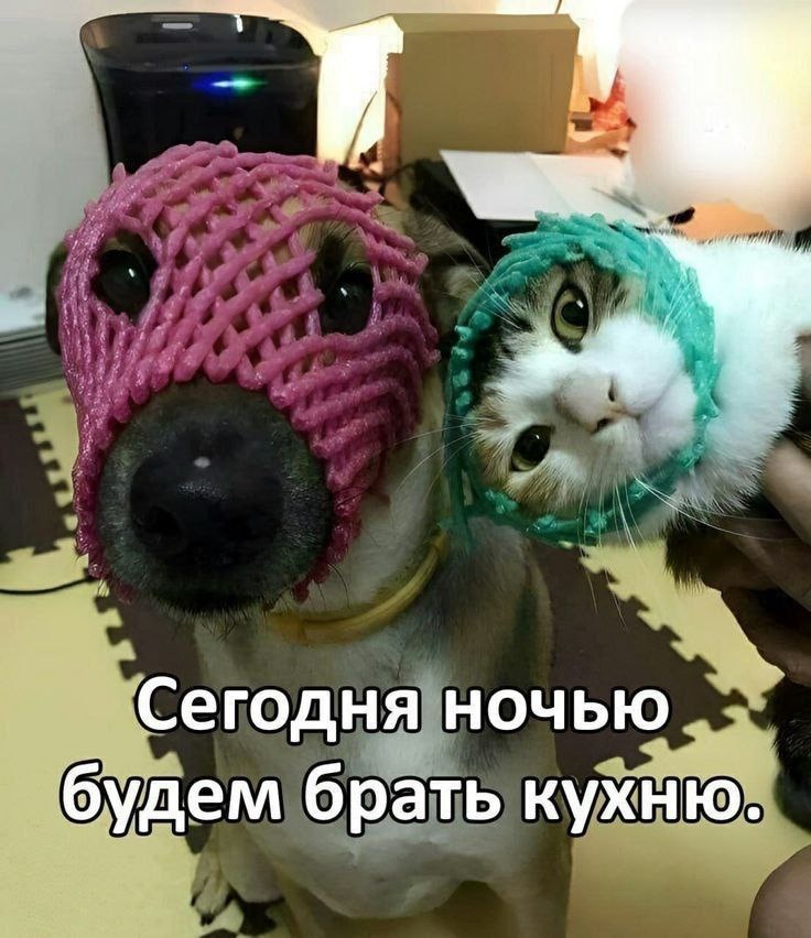 -8