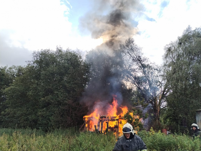    Молния сожгла дерево в КарелииГоскомитет Карелии по безопасности
