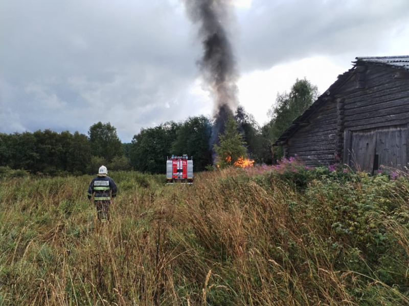    Молния сожгла дерево в КарелииГоскомитет Карелии по безопасности