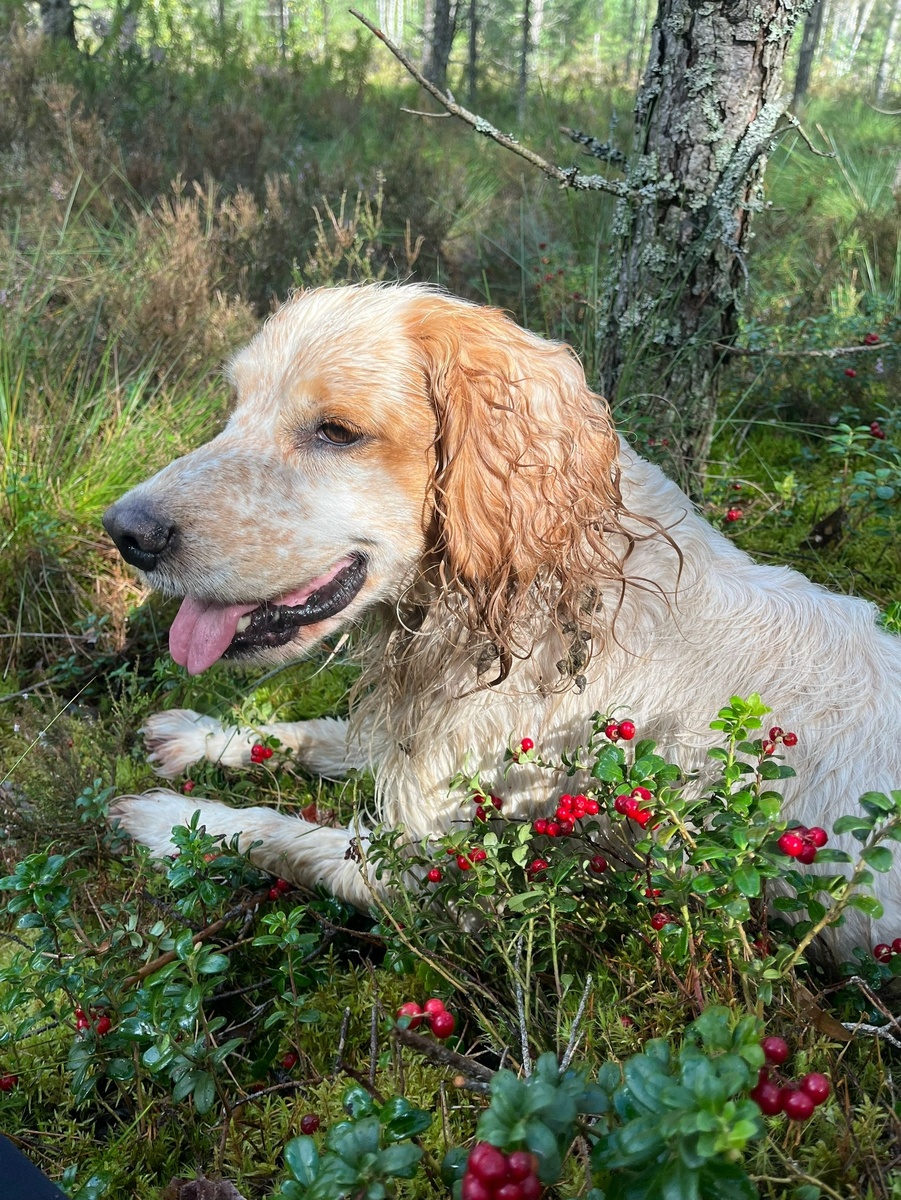 Фото: Илона Николаева, Людмила Иванова