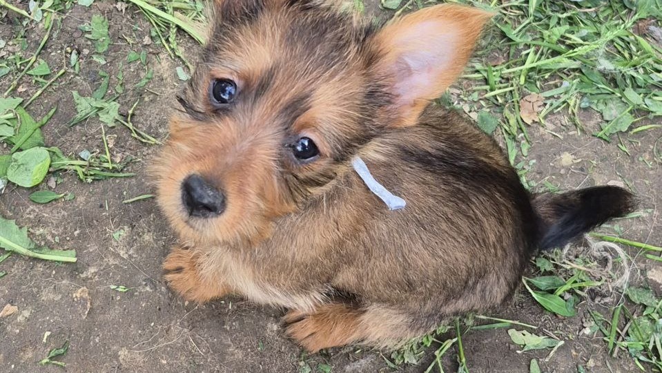 Ждут свои семьи