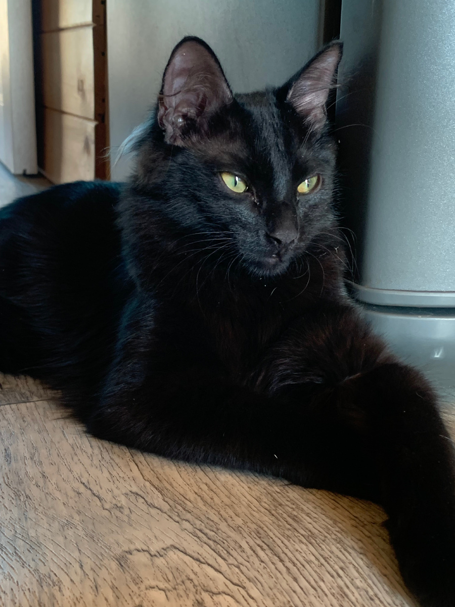 Наш сыночка-корзиночка😂