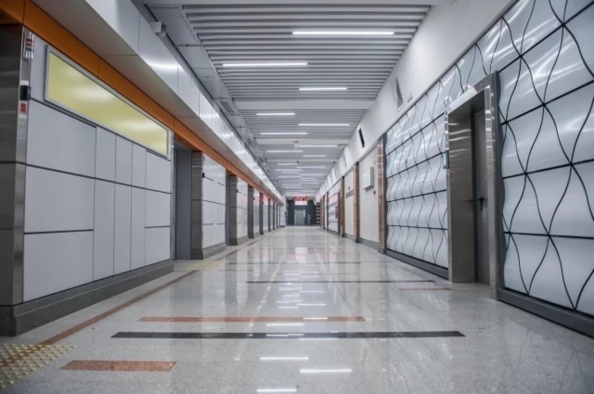    В Новосибирске после 2030 года построят станцию метро «Каменская»
