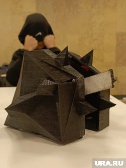     Тюменцы разработали вертикальный гироскопический спиннер Максим Колмогоров