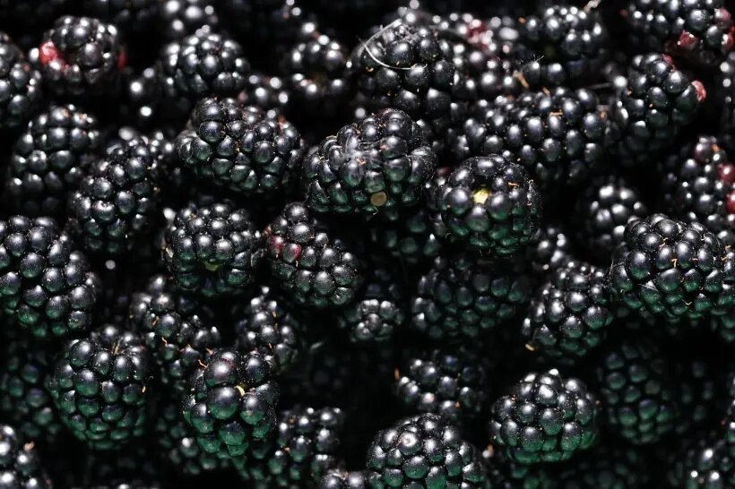     © РИА Новости. Алексей Сухоруков